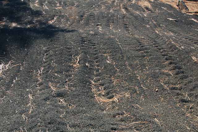 ashes completely cover every road and off-road in the park